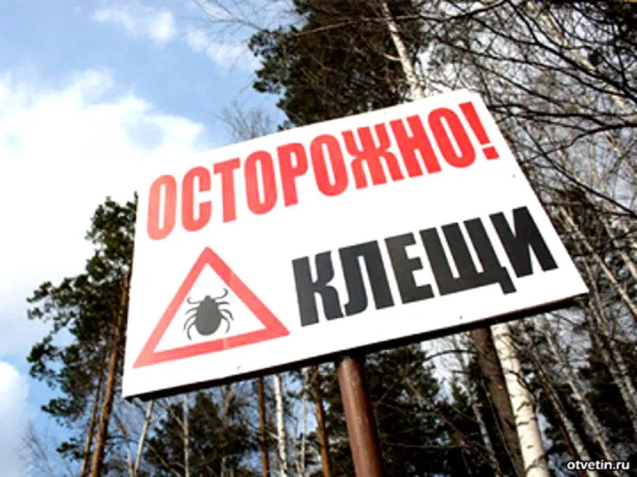 На Гомельщине рекордно рано проснулись клещи, есть первые жертвы